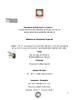 Tesis%20Final%20to%20rosa%20send-Thumbnail Image.png